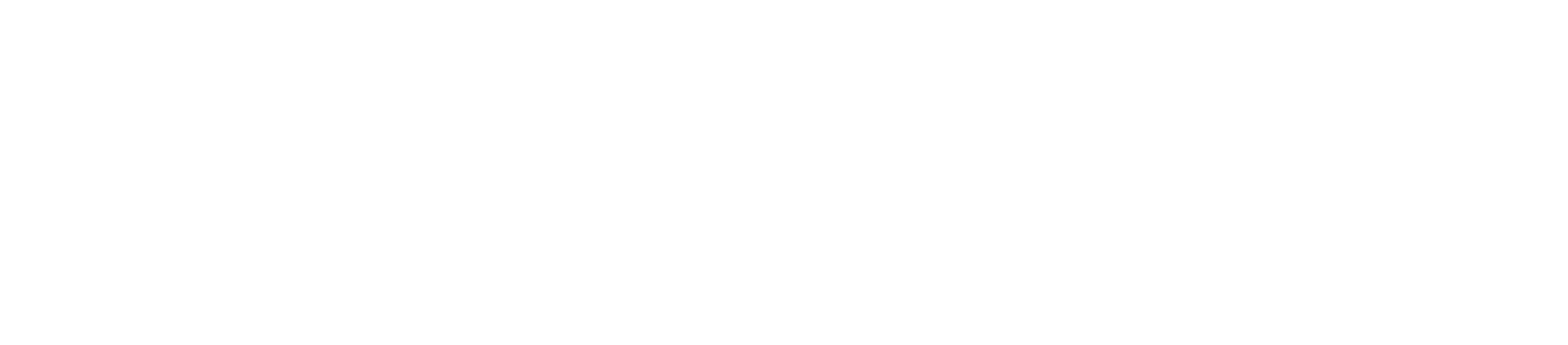 EconZip